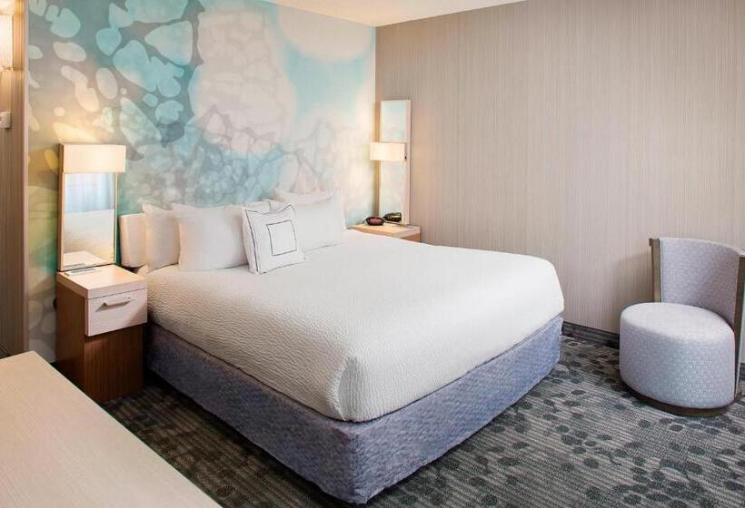 带大床的套房, Courtyard By Marriott Richmond Airport