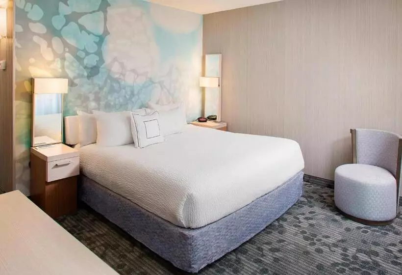 سوئیت با تخت بزرگ, Courtyard By Marriott Richmond Airport