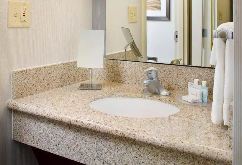 اتاق استاندارد با تخت بزرگ برای معلولان, Courtyard By Marriott Richmond Airport