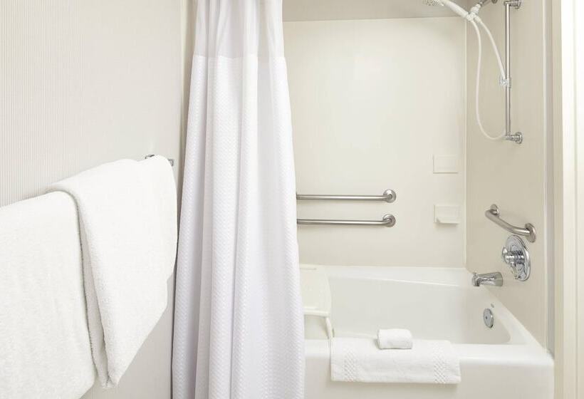 غرفة قياسية, Courtyard Detroit Brighton