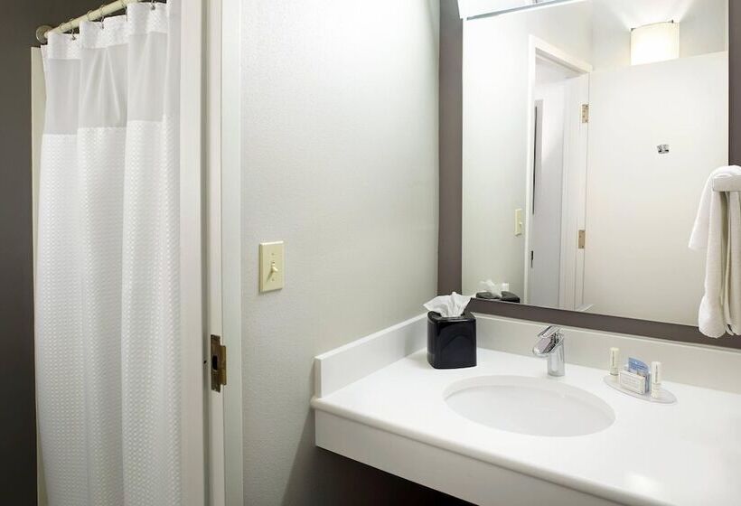 Номер Стандарт, Courtyard Detroit Brighton