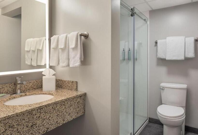 غرفة قياسية سرير كينج, Courtyard La Crosse Downtown/mississippi Riverfront