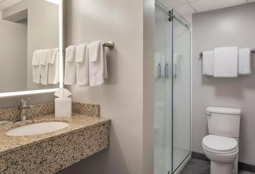 اتاق استاندارد با تخت بزرگ, Courtyard La Crosse Downtown/mississippi Riverfront
