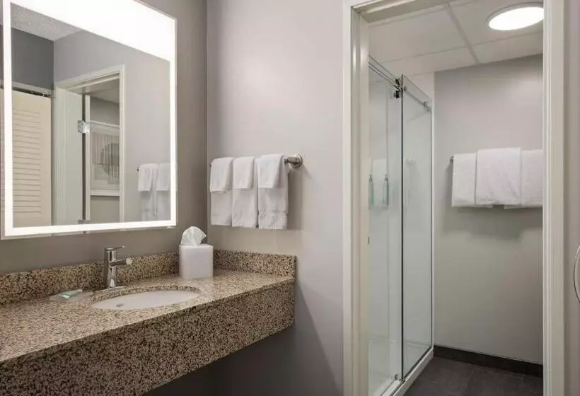 اتاق استاندارد با چشمانداز رودخانه, Courtyard La Crosse Downtown/mississippi Riverfront