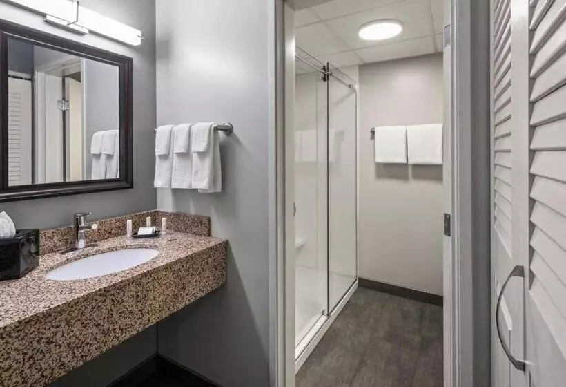 اتاق استاندارد با چشمانداز رودخانه, Courtyard La Crosse Downtown/mississippi Riverfront