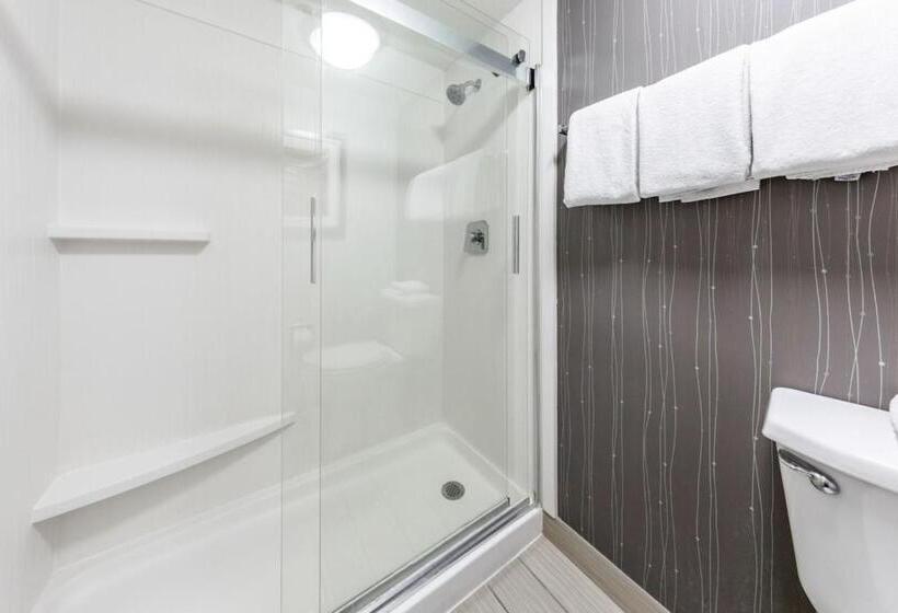 اتاق استاندارد با 2 تخت دوبل, Courtyard Laredo