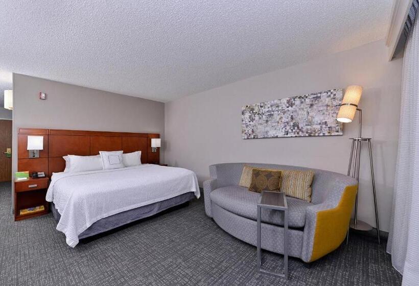 اتاق استاندارد با تخت بزرگ, Courtyard Laredo