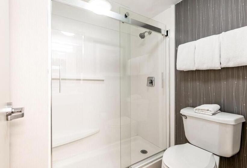 سوئیت با تخت بزرگ, Courtyard Laredo