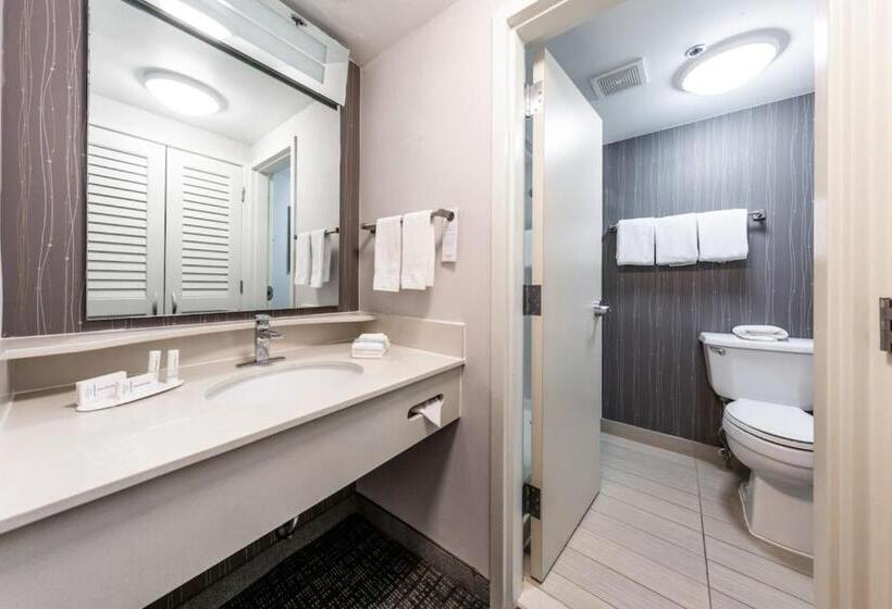 سوئیت با تخت بزرگ, Courtyard Laredo