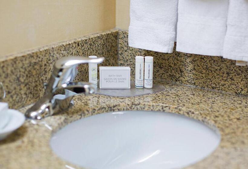 带大床的标准间, Courtyard Seattle North/lynnwood Everett