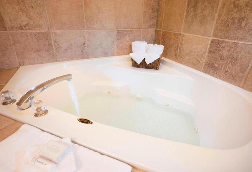 带大床的标准间, Courtyard Seattle North/lynnwood Everett