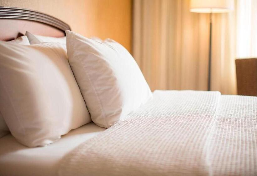 带大床的套房, Courtyard Seattle North/lynnwood Everett