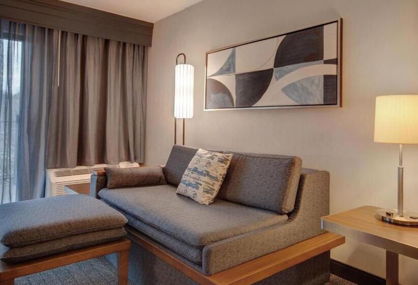 高级客房, Courtyard By Marriott State College