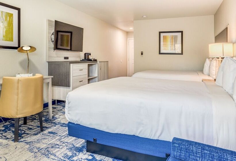 豪华园景房, Creekside Inn Downtown