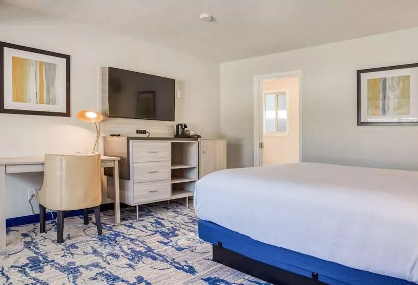 اتاق لوکس با چشم‌انداز باغ, Creekside Inn Downtown