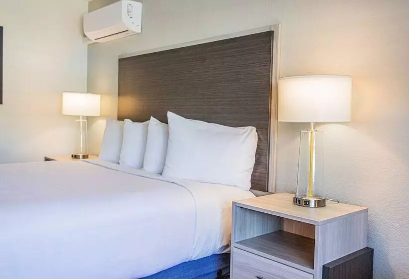 اتاق لوکس با چشم‌انداز باغ, Creekside Inn Downtown