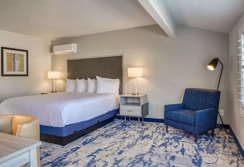 اتاق لوکس با چشم‌انداز باغ, Creekside Inn Downtown