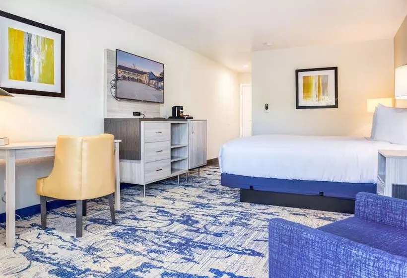 اتاق لوکس با چشم‌انداز باغ, Creekside Inn Downtown