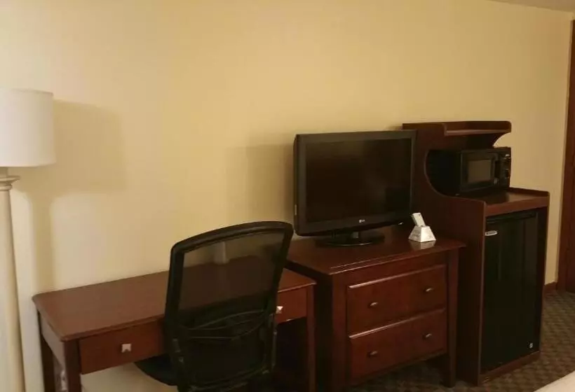 キングサイズベッドのスタンダードルーム, Dartmouth Motor Inn