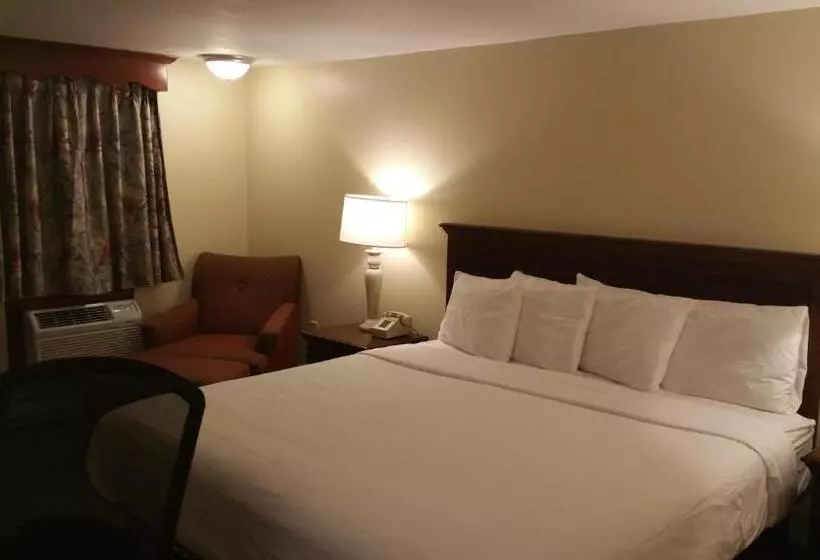 キングサイズベッドのスタンダードルーム, Dartmouth Motor Inn