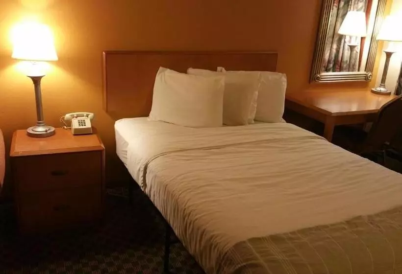 スタンダードシングルルーム, Dartmouth Motor Inn