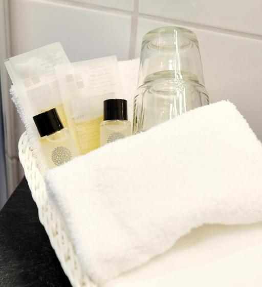 اتاق استاندارد برای معلولان, Heiðmork