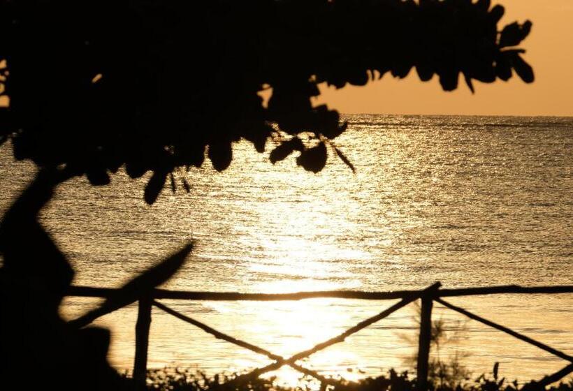 ビラホテル1ベッドルーム, Vrclub Paje Palms Beach Resort