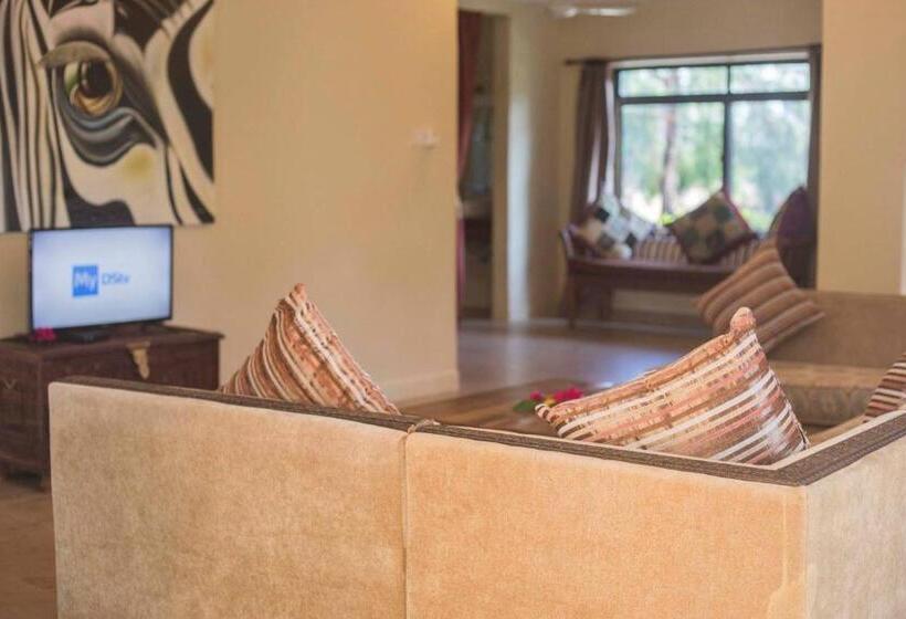 ジュニアスイート, Vrclub Paje Palms Beach Resort