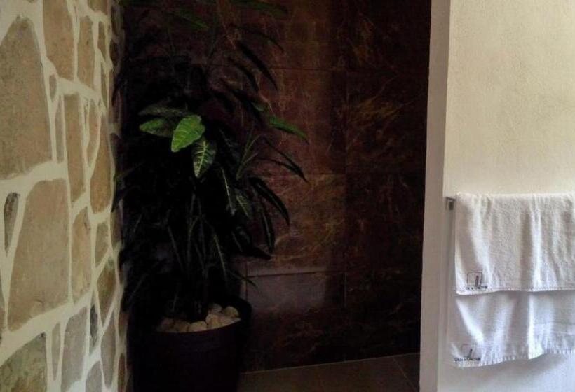 غرفة ديلوكس, Casa De Cactus