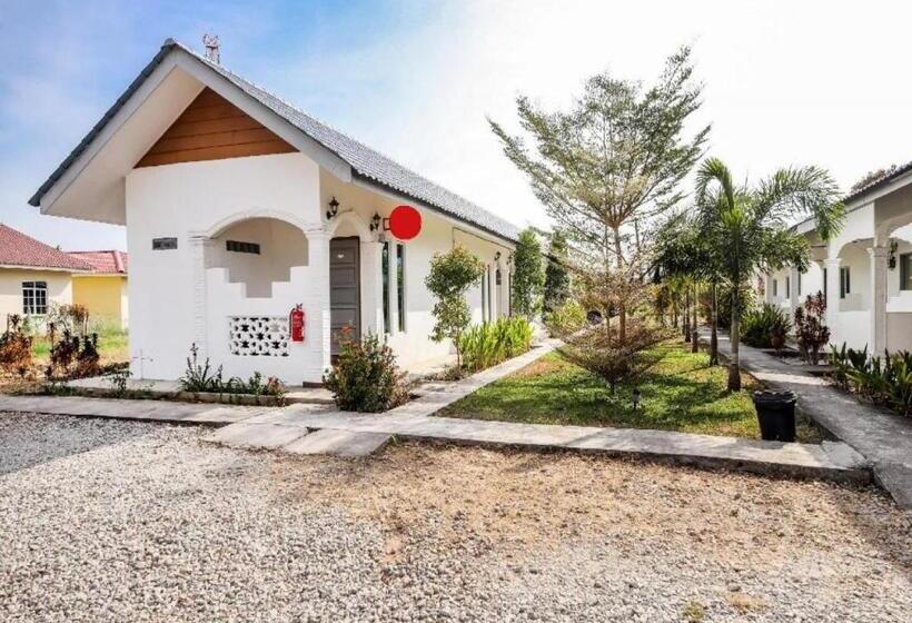 豪华房间, Alpha Motel