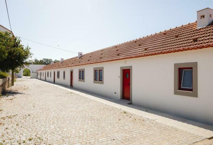 منزل غرفة نوم واحدة, Da Barrosinha