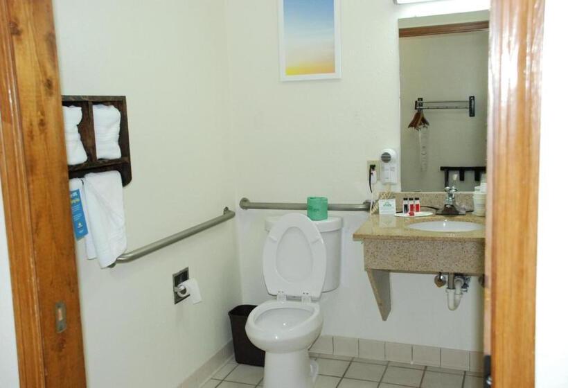 غرفة قياسية سرير كينج, Days Inn By Wyndham Dyersburg