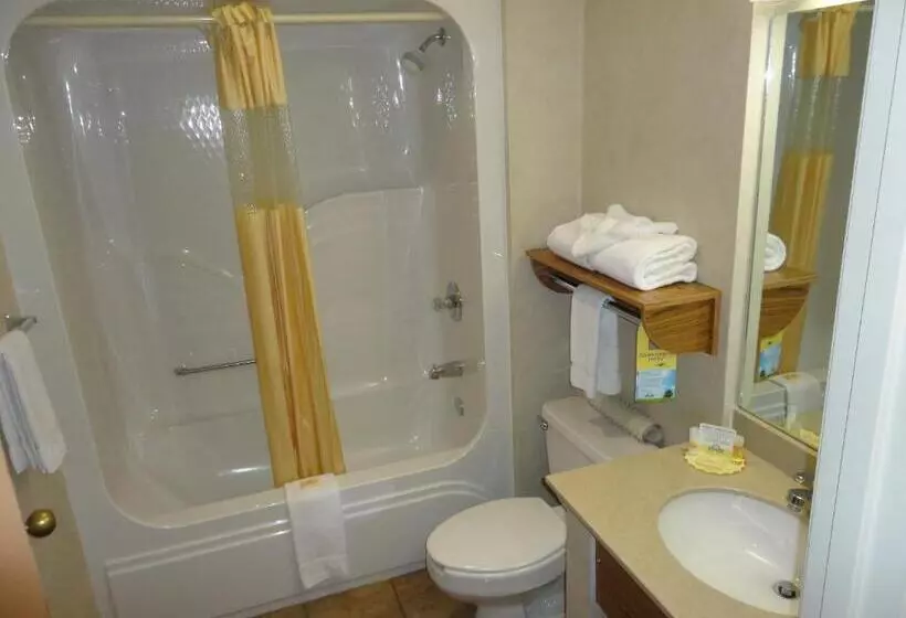 اتاق استاندارد برای معلولان, Days Inn By Wyndham Rapid City