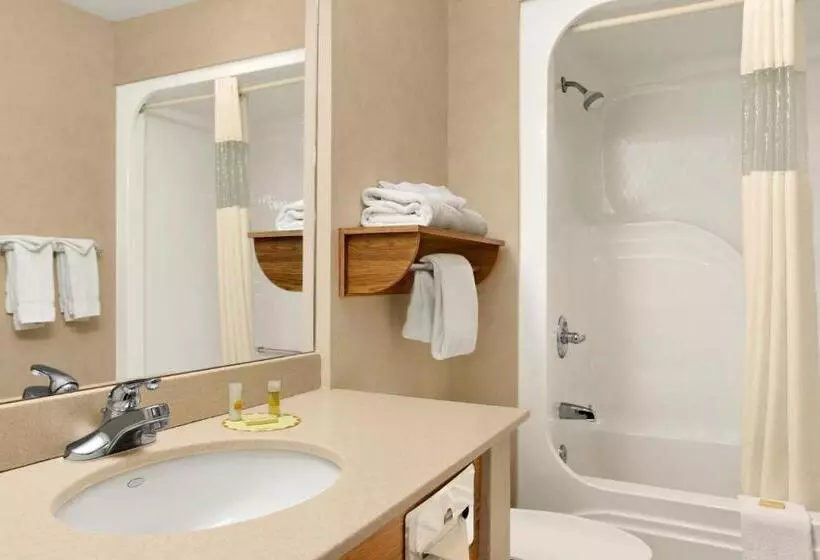 اتاق استاندارد برای معلولان, Days Inn By Wyndham Rapid City