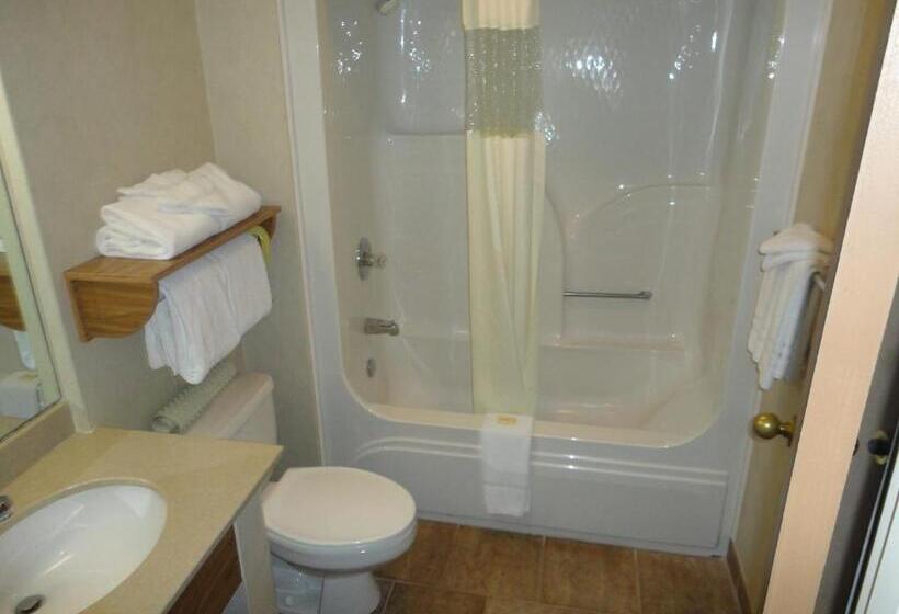 חדר דלוקס עם מיטת קינג, Days Inn By Wyndham Rapid City