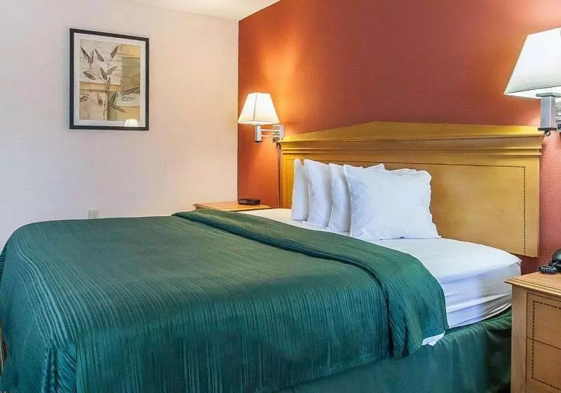 キングサイズベッドのスタンダードルーム, Econo Lodge Inn & Suites