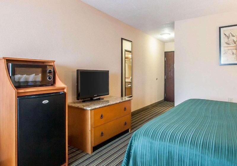 غرفة قياسية سرير كينج, Econo Lodge Inn & Suites