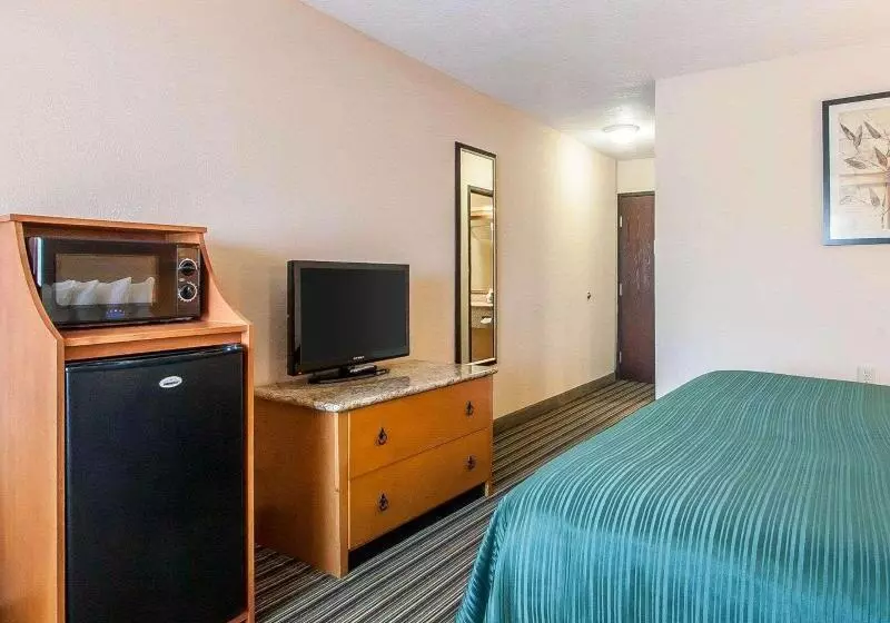 Standard-huone King-vuode, Econo Lodge Inn & Suites
