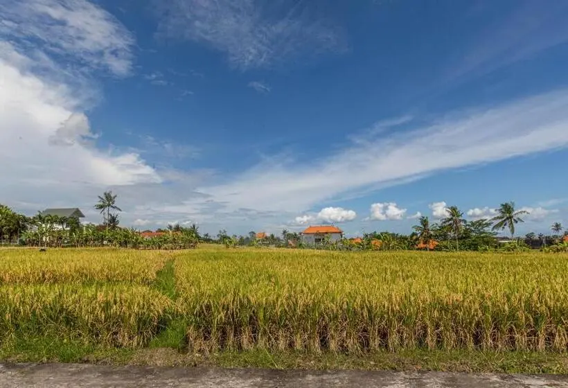 景色の見えるデラックスルーム, D Jineng Rice Terrace Canggu