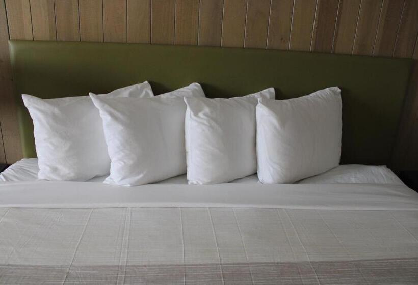 غرفة قياسية سرير كينج لذوى الإحتياجات الخاصة, Country Inn & Suites By Radisson, London, Ky