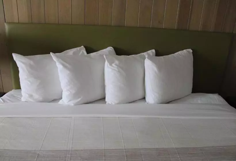 身障者適用キングサイズベッドルーム, Country Inn & Suites By Radisson, London, Ky