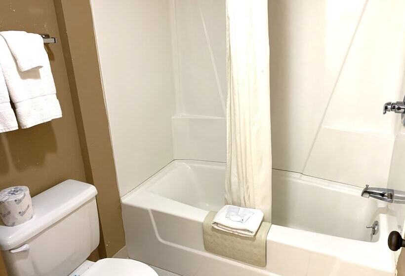 غرفه قياسيه سريرين مزدوجين, Don Q Inn