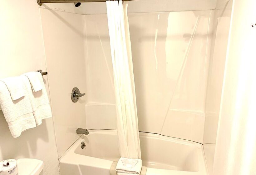 غرفه قياسيه سريرين مزدوجين, Don Q Inn