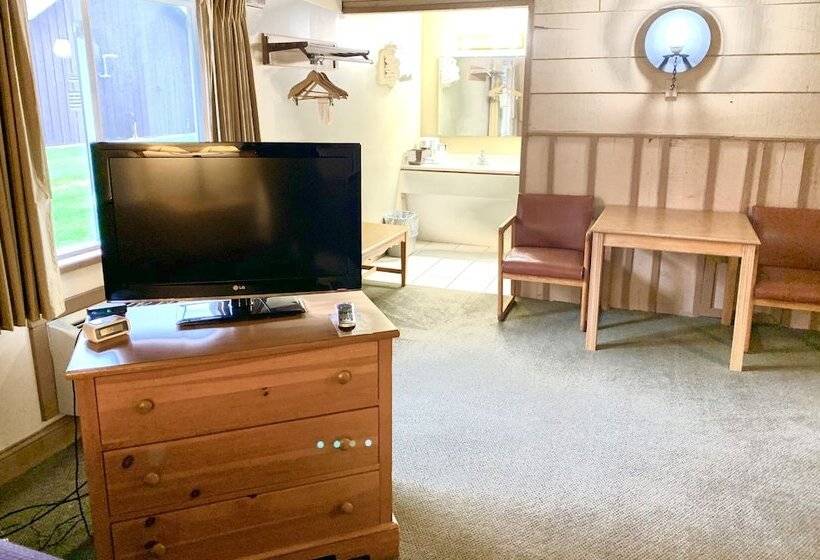 غرفه قياسيه سريرين مزدوجين, Don Q Inn