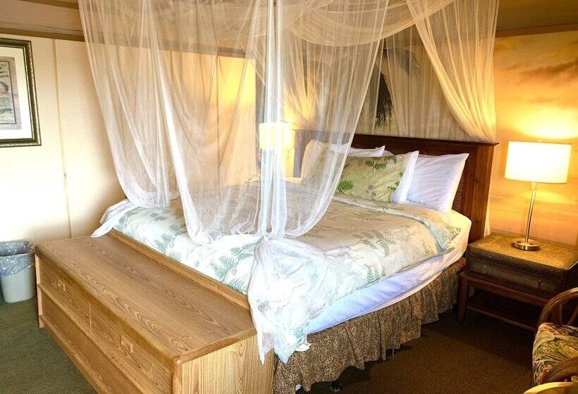 غرفة قياسية سرير كينج, Don Q Inn