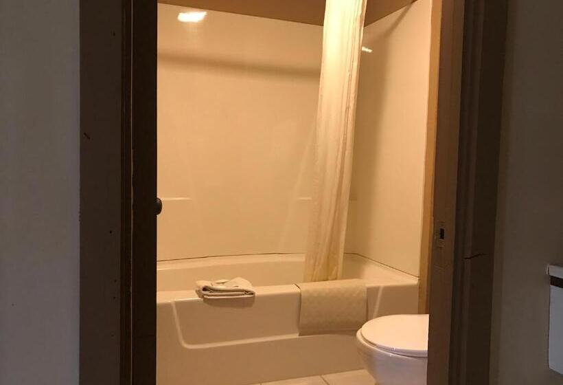 غرفة قياسية, Don Q Inn