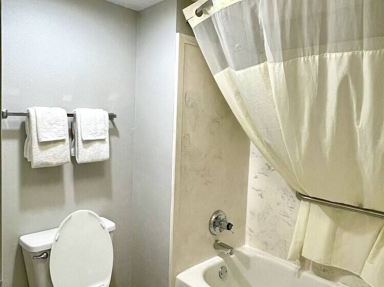 带2个双人床的标准工作室, Luxury Inn & Suites