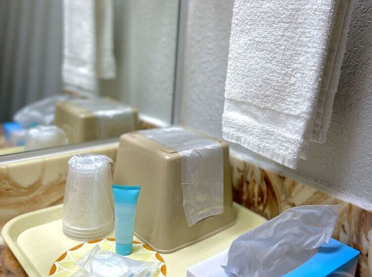 غرفه قياسيه سريرين مزدوجين, Luxury Inn & Suites