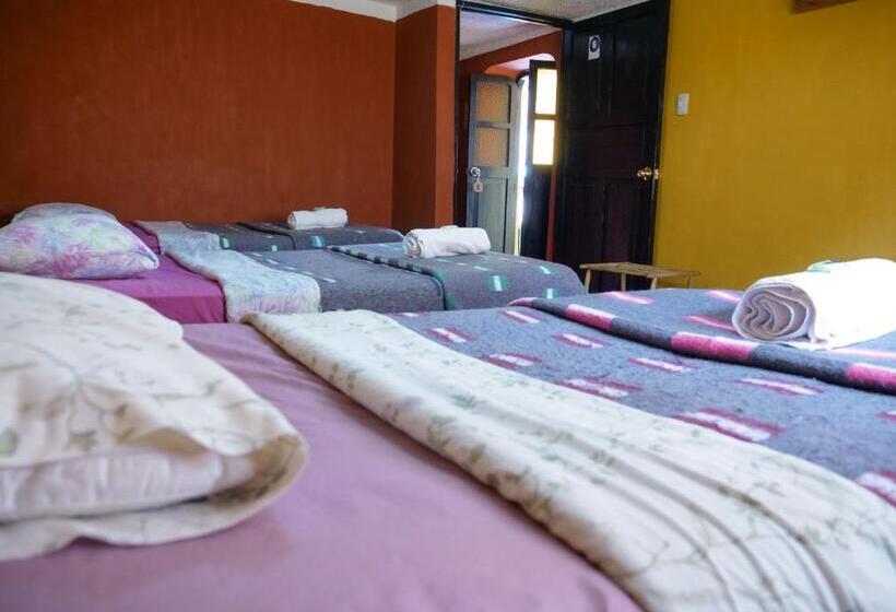 Семейный Номер, B&b Sun Gate