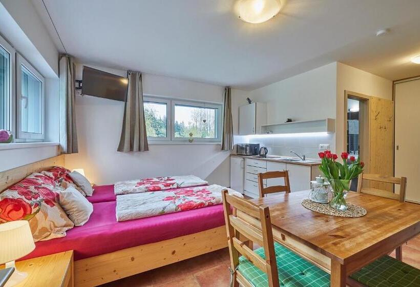 חדר סטנדרט לארבעה, Skipension